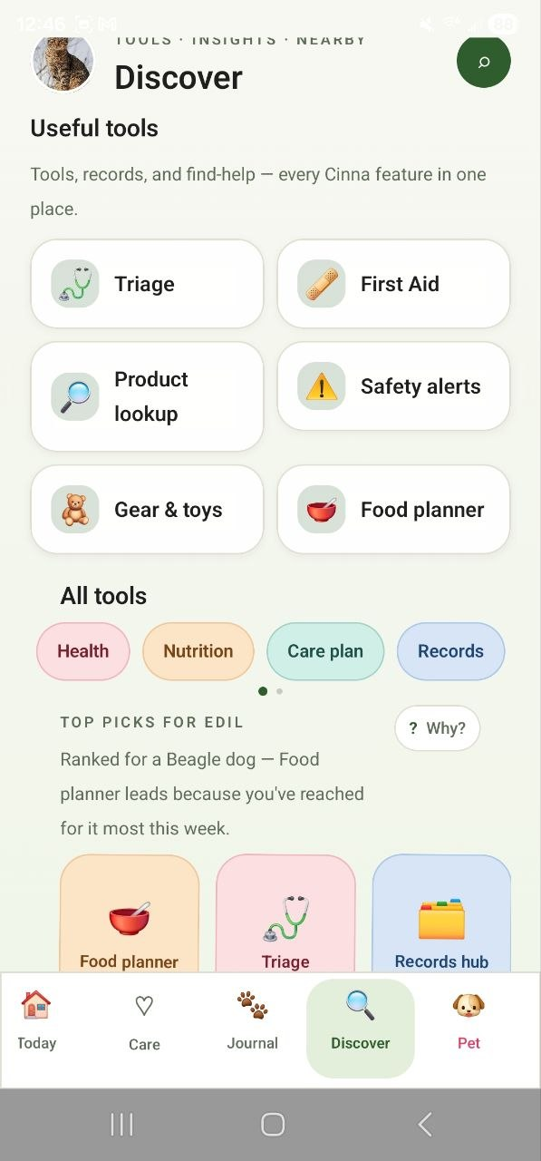 Tools that surface when needed